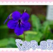 ヒメ日記 2025/08/09 14:14 投稿 中川まこ 五十路マダム 岐阜店