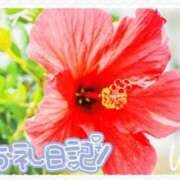 ヒメ日記 2025/08/10 14:00 投稿 中川まこ 五十路マダム 岐阜店