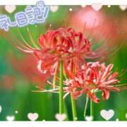 ヒメ日記 2025/09/01 21:32 投稿 中川まこ 五十路マダム 岐阜店