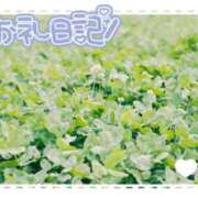 ヒメ日記 2025/09/01 22:50 投稿 中川まこ 五十路マダム 岐阜店