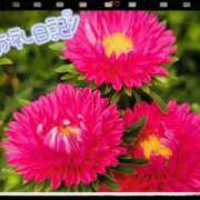 ヒメ日記 2025/09/18 20:58 投稿 中川まこ 五十路マダム 岐阜店