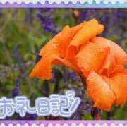 ヒメ日記 2025/09/21 20:02 投稿 中川まこ 五十路マダム 岐阜店