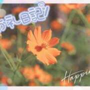 ヒメ日記 2025/10/09 14:48 投稿 中川まこ 五十路マダム 岐阜店