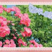 ヒメ日記 2025/10/09 21:48 投稿 中川まこ 五十路マダム 岐阜店