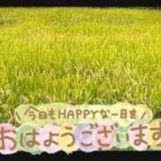 ヒメ日記 2025/10/12 09:48 投稿 中川まこ 五十路マダム 岐阜店