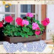 ヒメ日記 2025/10/14 06:38 投稿 中川まこ 五十路マダム 岐阜店