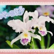 ヒメ日記 2025/10/16 23:24 投稿 中川まこ 五十路マダム 岐阜店