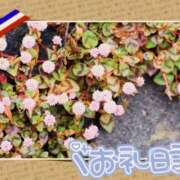 ヒメ日記 2025/10/29 23:20 投稿 中川まこ 五十路マダム 岐阜店