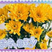 ヒメ日記 2025/11/02 17:04 投稿 中川まこ 五十路マダム 岐阜店