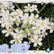 ヒメ日記 2025/12/07 16:04 投稿 中川まこ 五十路マダム 岐阜店