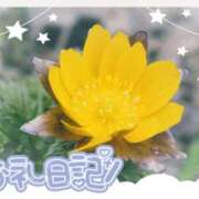 ヒメ日記 2026/01/28 16:10 投稿 中川まこ 五十路マダム 岐阜店