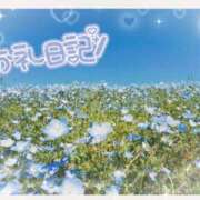 ヒメ日記 2026/01/28 21:06 投稿 中川まこ 五十路マダム 岐阜店