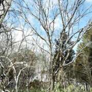 ヒメ日記 2026/02/07 12:48 投稿 中川まこ 五十路マダム 岐阜店