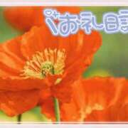 ヒメ日記 2026/03/01 10:16 投稿 中川まこ 五十路マダム 岐阜店