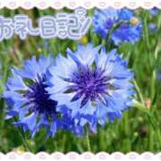 ヒメ日記 2026/03/01 23:02 投稿 中川まこ 五十路マダム 岐阜店