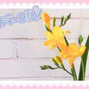 中川まこ ありがとうございます！！！ 五十路マダム 岐阜店