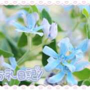 ヒメ日記 2026/06/24 10:32 投稿 中川まこ 五十路マダム 岐阜店