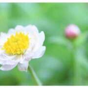 ヒメ日記 2026/06/27 17:18 投稿 中川まこ 五十路マダム 岐阜店