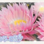 ヒメ日記 2026/06/28 15:38 投稿 中川まこ 五十路マダム 岐阜店