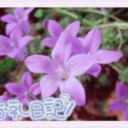 ヒメ日記 2026/07/04 17:04 投稿 中川まこ 五十路マダム 岐阜店