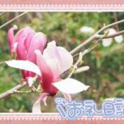 ヒメ日記 2026/07/05 10:32 投稿 中川まこ 五十路マダム 岐阜店