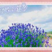 ヒメ日記 2026/07/05 17:00 投稿 中川まこ 五十路マダム 岐阜店