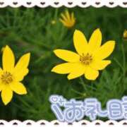 ヒメ日記 2026/07/20 06:20 投稿 中川まこ 五十路マダム 岐阜店