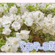 中川まこ ありがとうございます！！！（7.29） 五十路マダム 岐阜店