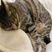 ヒメ日記 2025/02/02 23:48 投稿 ねねさん いけない奥さん 十三店