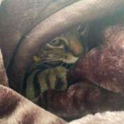 ヒメ日記 2025/03/29 19:10 投稿 ねねさん いけない奥さん 十三店