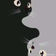 ヒメ日記 2025/05/01 19:11 投稿 ねねさん いけない奥さん 十三店