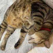 ヒメ日記 2025/05/16 19:26 投稿 ねねさん いけない奥さん 十三店