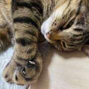 ヒメ日記 2025/05/30 20:49 投稿 ねねさん いけない奥さん 十三店