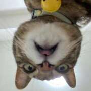 ヒメ日記 2025/07/04 14:26 投稿 ねねさん いけない奥さん 十三店