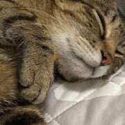 ヒメ日記 2025/08/24 13:05 投稿 ねねさん いけない奥さん 十三店