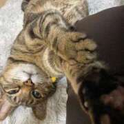 ヒメ日記 2025/09/24 13:11 投稿 ねねさん いけない奥さん 十三店