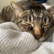 ヒメ日記 2025/09/29 07:52 投稿 ねねさん いけない奥さん 十三店