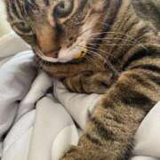 ヒメ日記 2025/10/18 18:58 投稿 ねねさん いけない奥さん 十三店