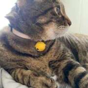 ヒメ日記 2025/10/20 12:48 投稿 ねねさん いけない奥さん 十三店