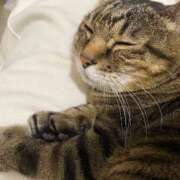 ヒメ日記 2025/10/31 15:42 投稿 ねねさん いけない奥さん 十三店