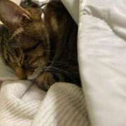 ヒメ日記 2025/11/04 18:05 投稿 ねねさん いけない奥さん 十三店