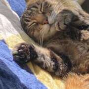 ヒメ日記 2025/12/03 15:58 投稿 ねねさん いけない奥さん 十三店