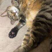 ヒメ日記 2026/01/08 22:28 投稿 ねねさん いけない奥さん 十三店