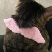 ヒメ日記 2026/02/02 18:44 投稿 ねねさん いけない奥さん 十三店