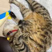 ヒメ日記 2026/02/13 16:48 投稿 ねねさん いけない奥さん 十三店