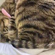 ねねさん すみません🙏🥹 いけない奥さん 十三店