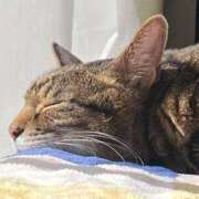 ヒメ日記 2024/12/15 11:09 投稿 ねねさん いけない奥さん 梅田店