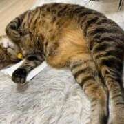 ヒメ日記 2025/01/20 15:38 投稿 ねねさん いけない奥さん 梅田店