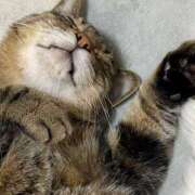 ヒメ日記 2025/03/23 15:08 投稿 ねねさん いけない奥さん 梅田店