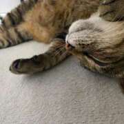 ヒメ日記 2025/04/10 17:41 投稿 ねねさん いけない奥さん 梅田店